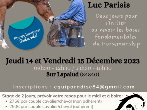 stage horsemanship avec Luc Parisis 250 84840 Lapalud