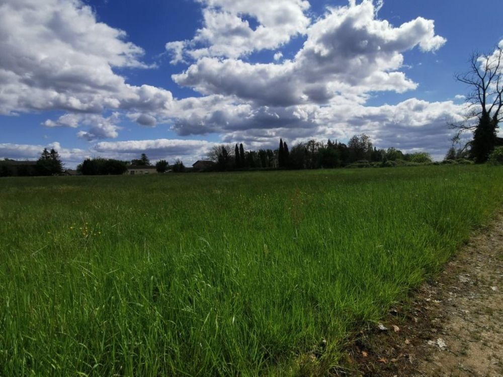 Maisons neuves   Grignols (33690)