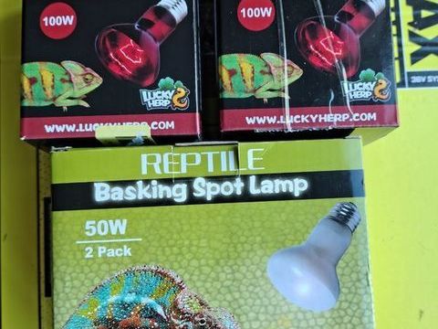 Lot de 9 Ampoules Chauffantes pour Reptiles 25 62129 Thérouanne