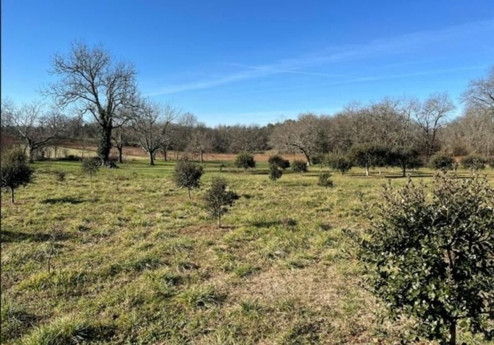 Terrains � batir   Saint-Germain-des-Pr�s (24160)