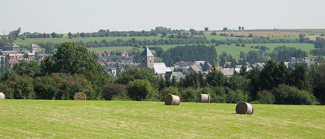 Agence VIVA IMMOBILIER Cousolre