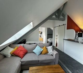  Appartement � louer 3 pi�ces 45 m�