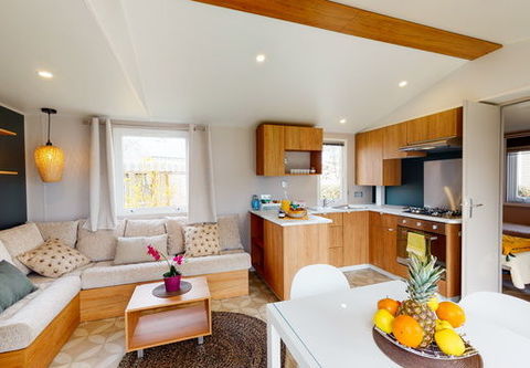 Mobil-Home Mobil-Home 2022 occasion Fr&eacute;jus 83600