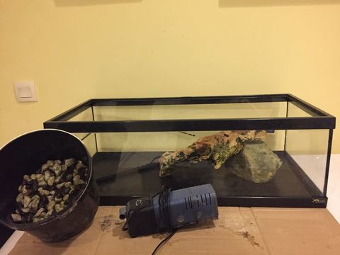 Aquarium Terratlantis 100 37310 Chambourg-sur-indre