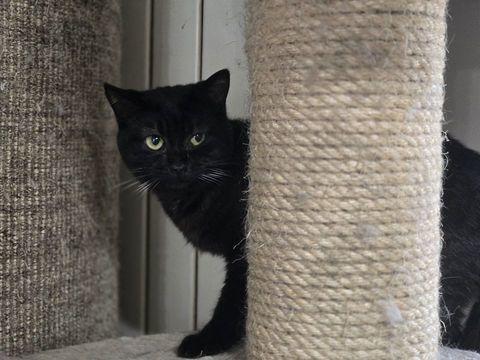 TABATA 210 76000 Rouen