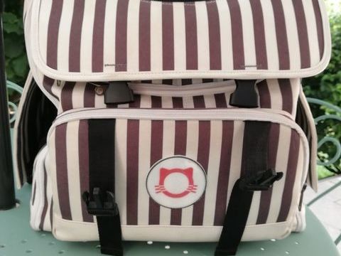 Sac de transport pour chat 40 91140 Villebon-sur-yvette