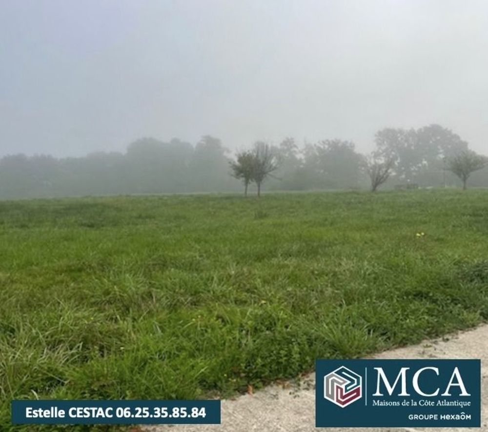 Maisons neuves   Aire-sur-l'Adour (40800)