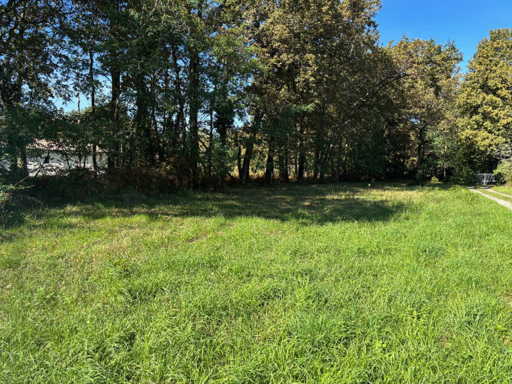 Maisons neuves   Saint-Sauveur (33250)