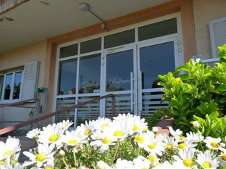  Appartement � louer 1 pi�ce 26 m�