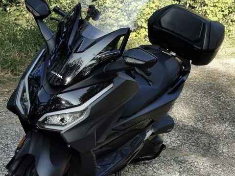 Scooter HONDA 2023 occasion Lons-le-Saunier 39000
