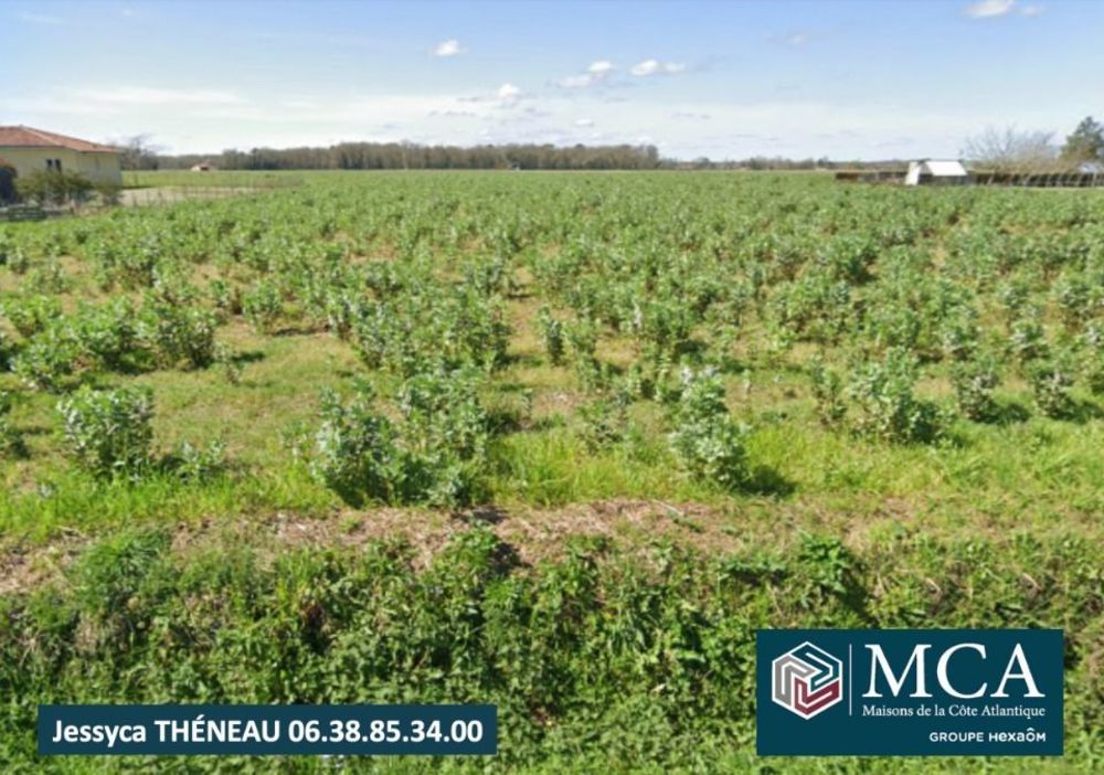 Maisons neuves   Onard (40380)