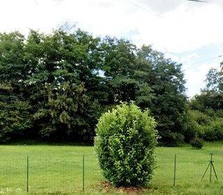  Terrain � vendre 1557 m�