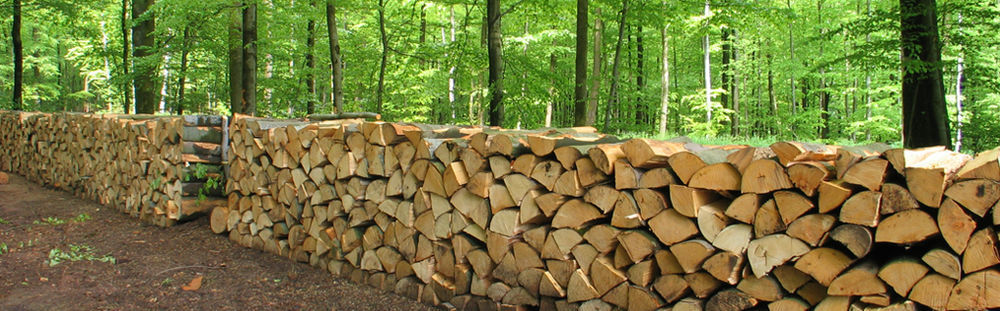 Bois de chauffage Jardin
