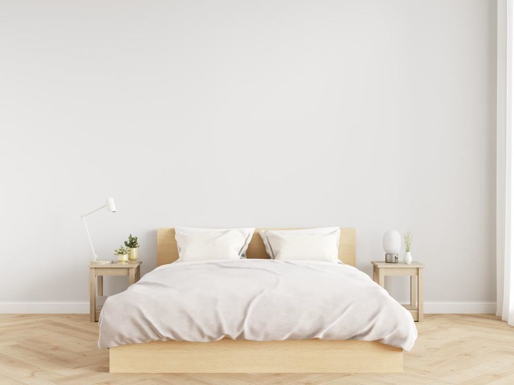 Appartements neufs   Calvi (20260)