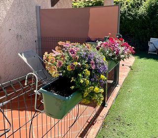  Appartement � louer 1 pi�ce 36 m�