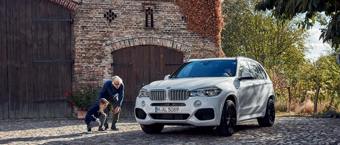 NICE PREMIUM MOTORS, concessionnaire 06