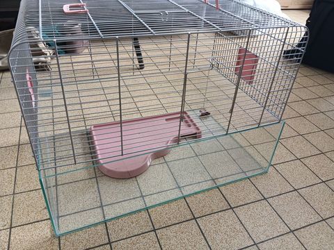 2 grandes cages hamster quasi-neuves + nombreux accessoires 85 
