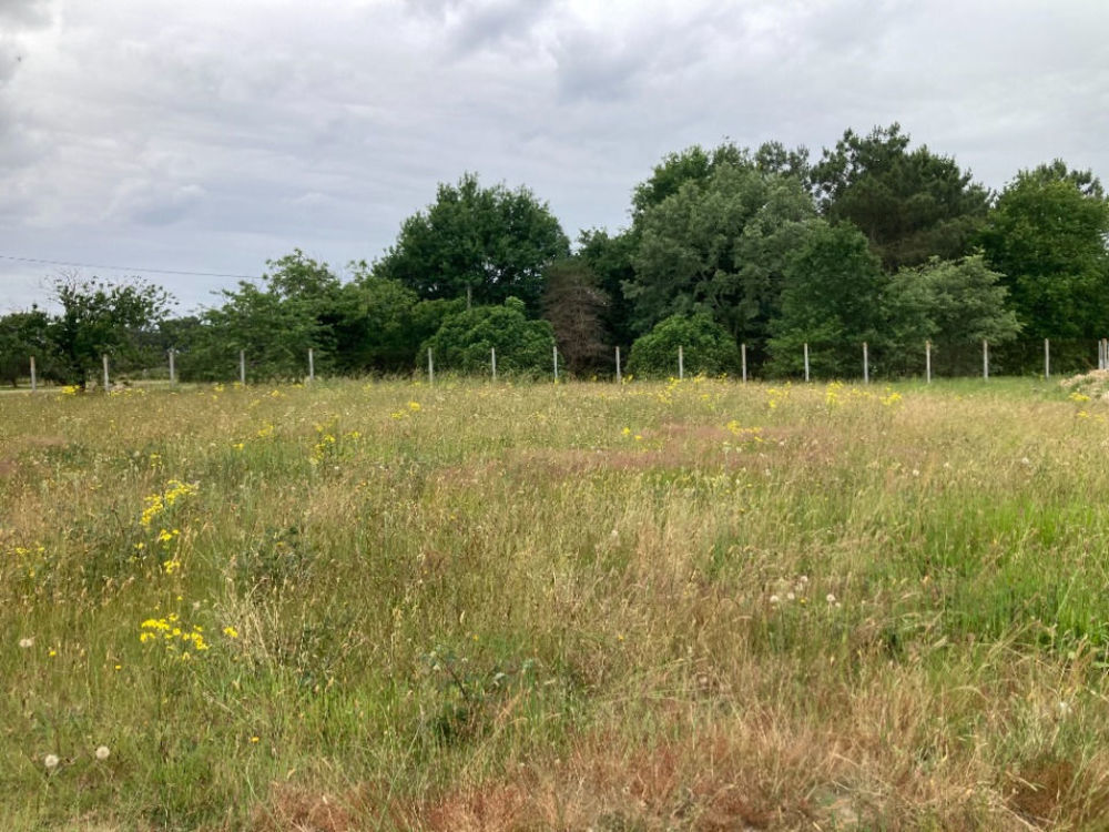 Maisons neuves   Les Peintures (33230)