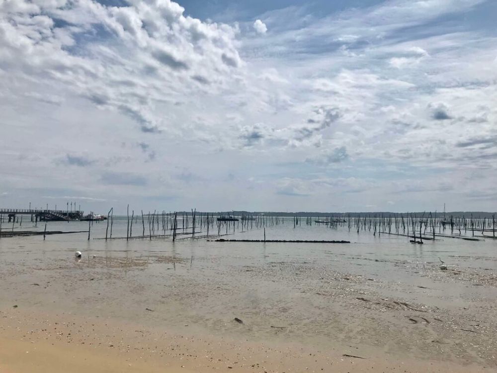 Appartements neufs   Arcachon (33120)