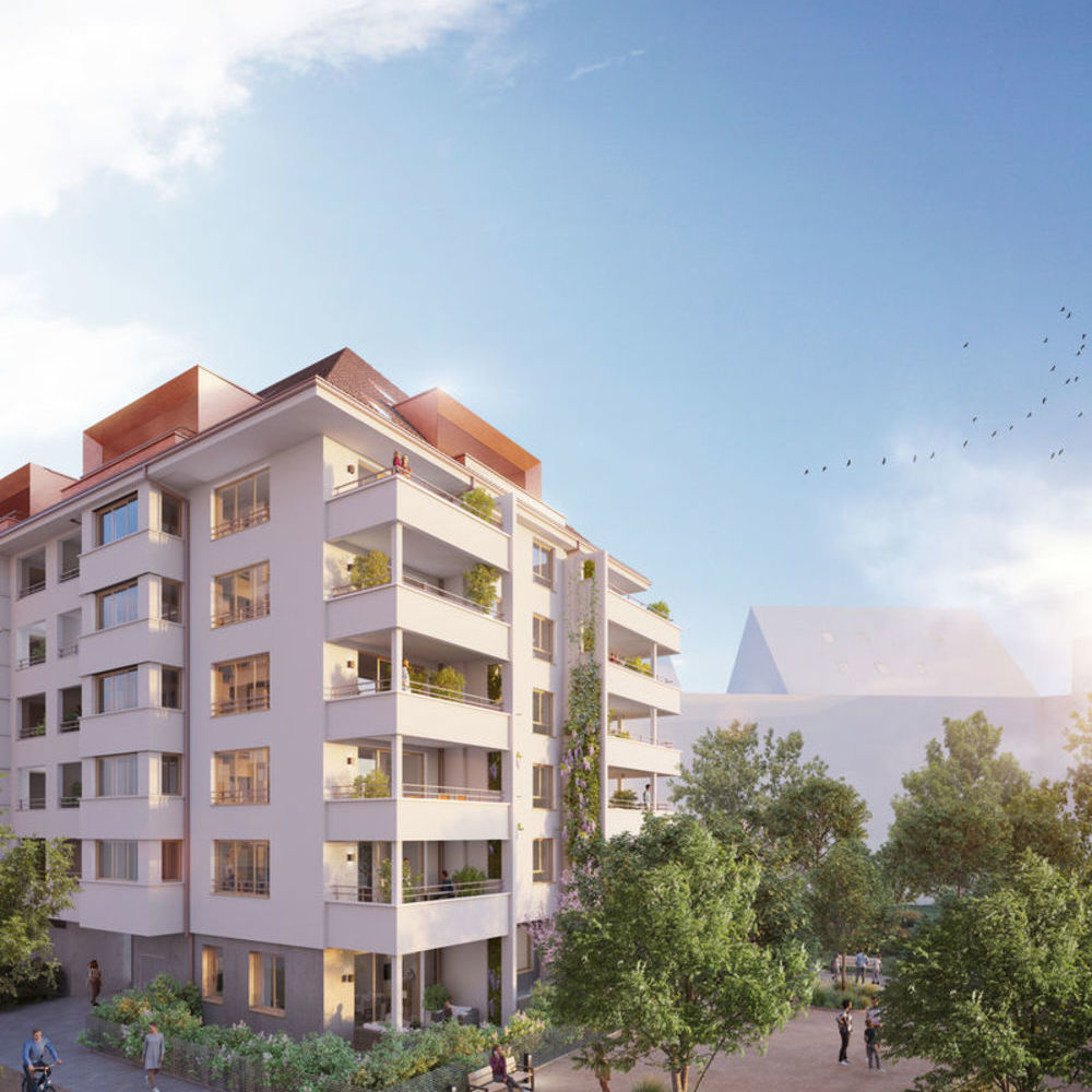   Strasbourg (67000)