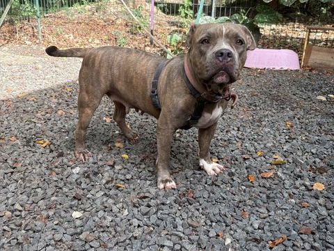 ✨️ ALMA ✨️ 290 93000 Bobigny