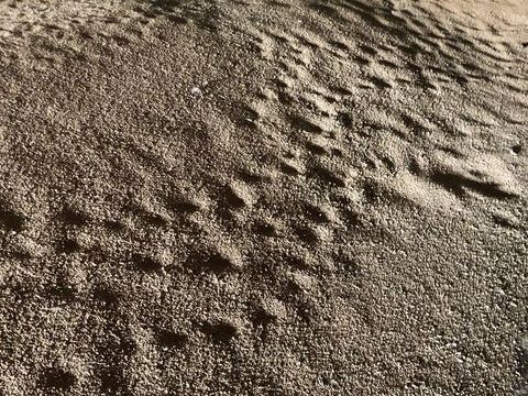 bl&eacute; de la ferme 120 59670 Winnezeele