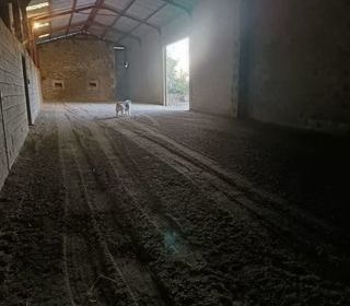  Parking / Garage � louer 200 m�