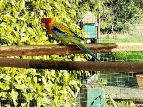 Omnicolore 30 17510 Villiers-couture