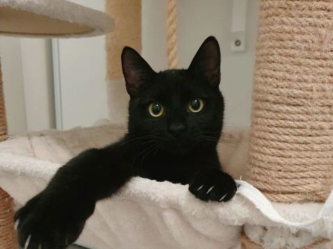 LUMO 1 26700 La garde-adh�mar