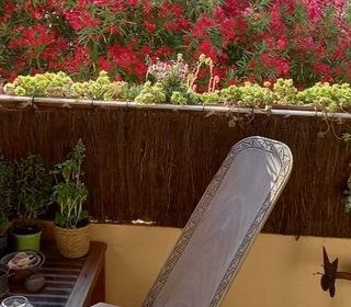 Location  Appartement 