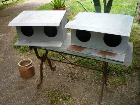 Nichoir pigeonnier / pigeon / oiseaux
30 81100 Castres