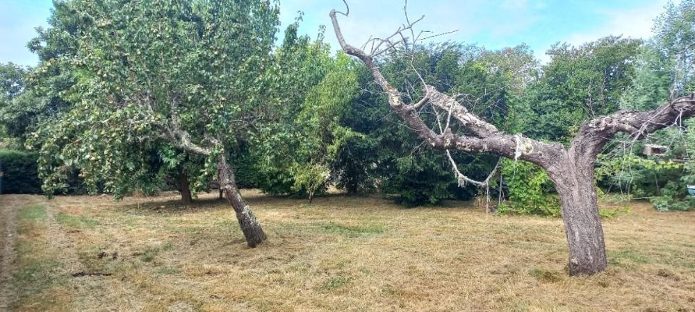 Maisons neuves   Montpon-M�nest�rol (24700)