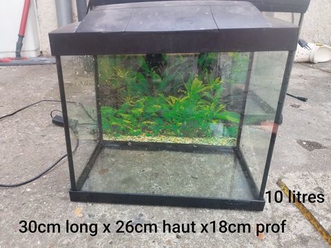 Petit aquarium id&eacute;al combattant ou banc micro poisson 15 60660 Cires-l�s-mello