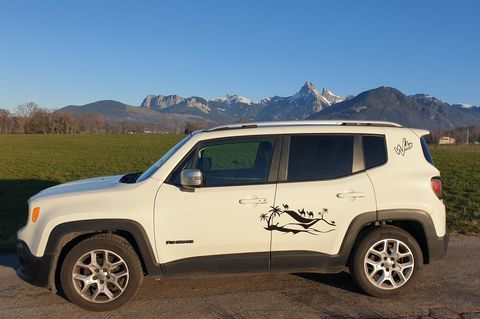 Jeep Renegade 1.6 I MultiJet S&S 120 ch Limited 2015 occasion &Eacute;vian-les-Bains 74500