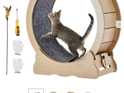 Roue d'exercice pour chat (750mm) 115 59320 Haubourdin