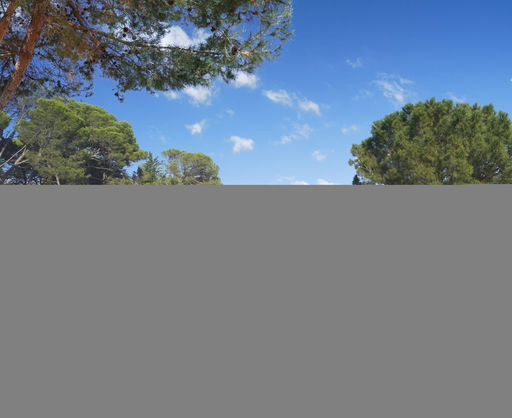 Maisons neuves   Marseille (13009)