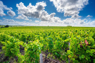  Propri�t�/ch�teau � vendre 6 pi�ces 