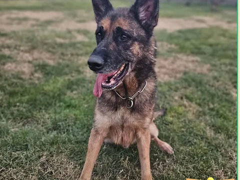 Zeus 230 26700 Pierrelatte