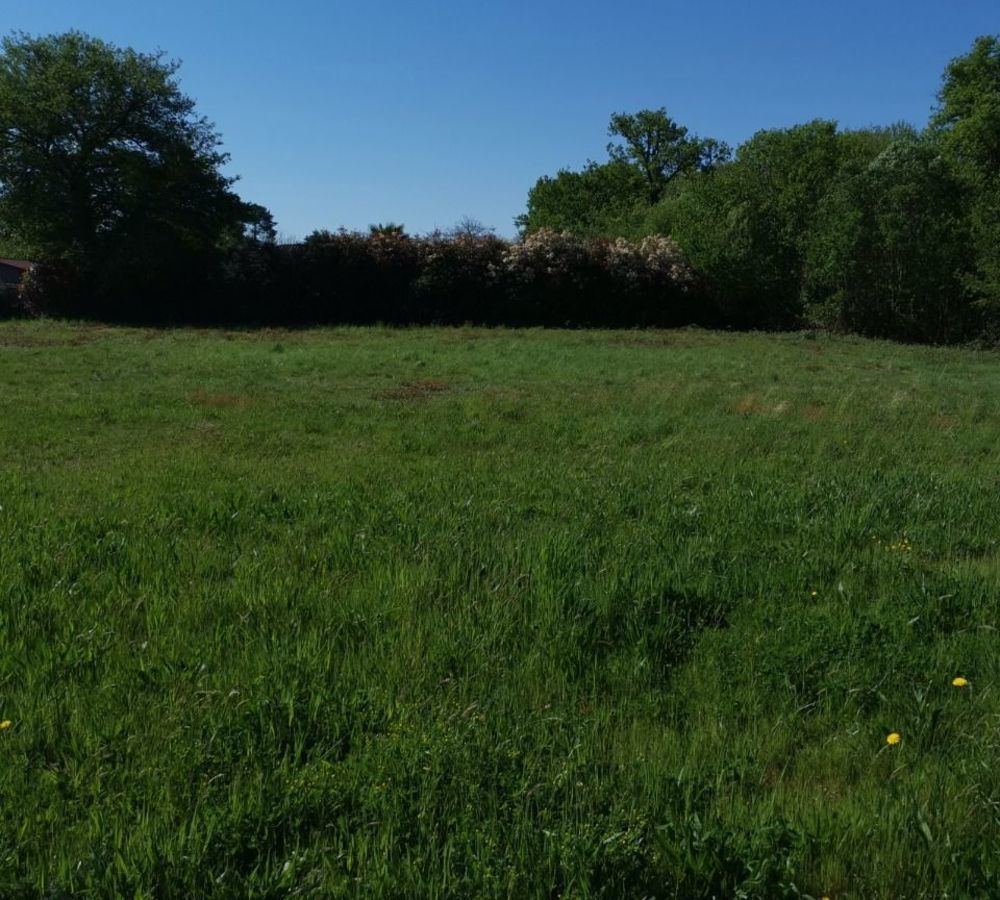 Maisons neuves   Prigueux (24000)