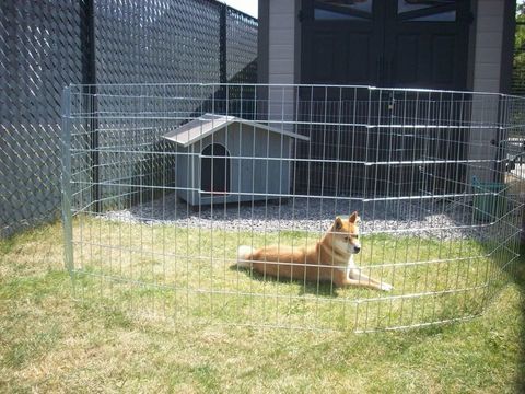 Enclos extensibles pour chiots et petits chiens 60 45230 La bussi�re