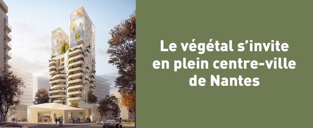   Nantes (44000)