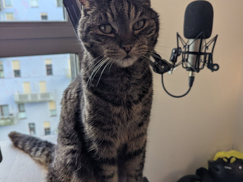 Chipo 80 44000 Nantes