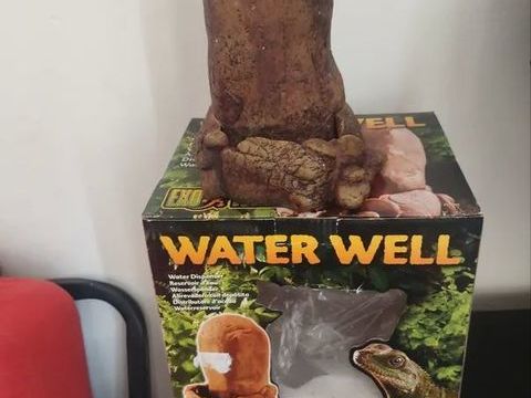 Abreuvoir reptile 20 69008 Lyon