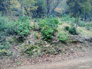  Terrain � vendre 20103 m�