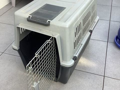 Cage de transport pour grand chien 70 29900 Concarneau