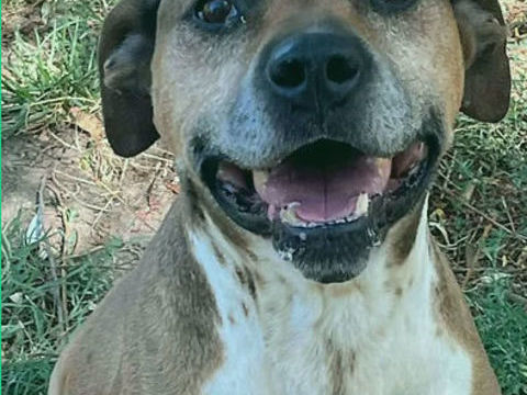 Calzone 50 26700 Pierrelatte