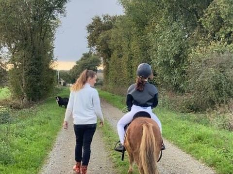 Poney Shetland 500 85110 Saint-vincent-sterlanges