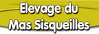 ELEVAGE CANIN DU MAS SISQUEILLES