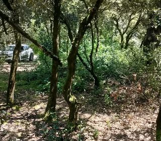  Terrain � vendre 980 m�