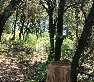  Terrain � vendre 980 m�